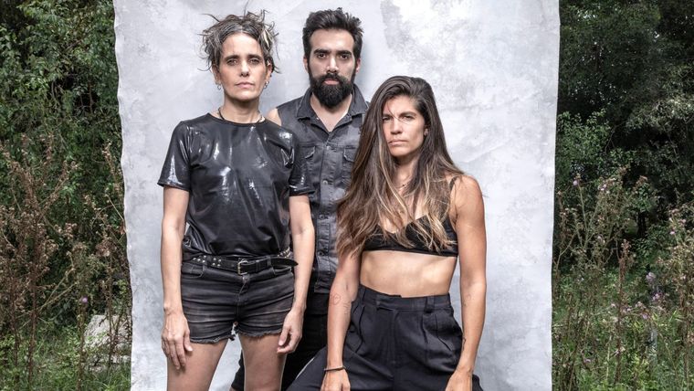 Eruca Sativa. Eruca Sativa.