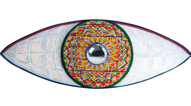 Foto: Asociación Civil Proyecto Pura Vida