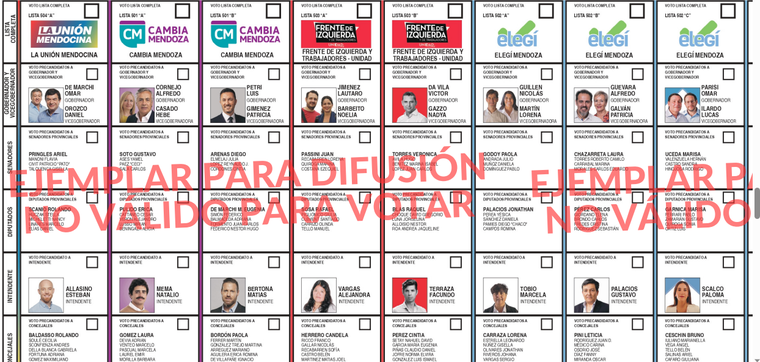 A modo de ejemplo, La Boleta Única en Luján de Cuyo Foto: Captura de pantalla