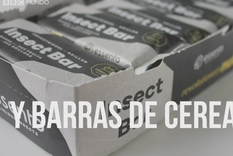 Las ventajas de las hamburguesas de insectos que están causando furor en Suiza