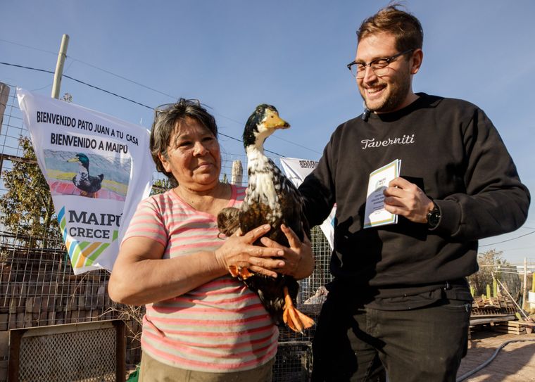 El pato Juan y su libreta sanitaria