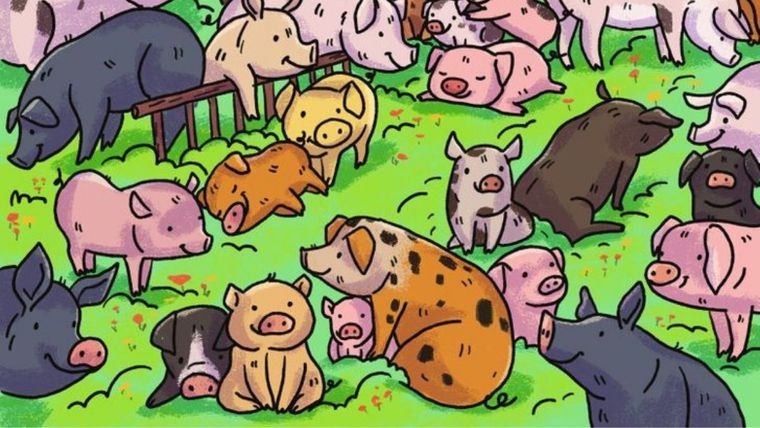 Acertijo visual, reto visual, Hipopótamo