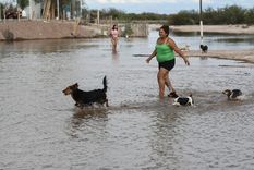 La alegría de un pueblo que disfruta la llegada del agua después de 10 años Foto: Juan Ignacio Blanco/MDZ La alegría de un pueblo que disfruta la llegada del agua después de 10 años Foto: Juan Ignacio Blanco/MDZ