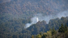La lucha contra los incendios en el Parque Nacional Los Alerces cuenta con más de 200 personas. La lucha contra los incendios en el Parque Nacional Los Alerces cuenta con más de 200 personas.