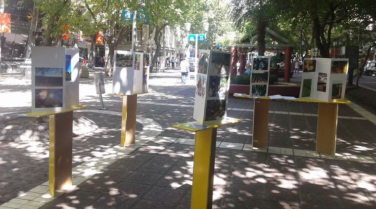 Foto: Secretaría de Cultura