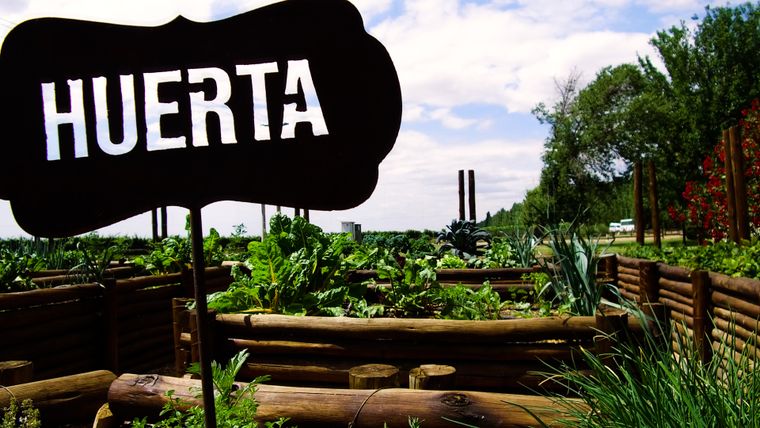 Preparate y animate a un día absolutamente diferente en Doña Paula. Preparate y animate a un día absolutamente diferente en Doña Paula.