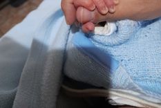 Una fecha clave para reflexionar sobre el impacto de lo que comemos no solo en nuestra salud física, sino también en nuestro bienestar emocional y reproductivo. Foto: Archivo MDZ
