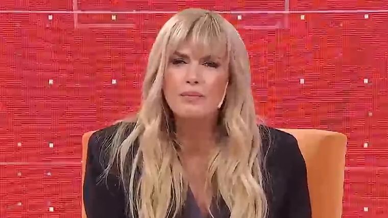 Viviana Canosa retomó el tema de su denuncia. Foto: Captura de video El Trece