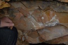 destruyen pinturas rupestres de 5.000 anos de antigüedad