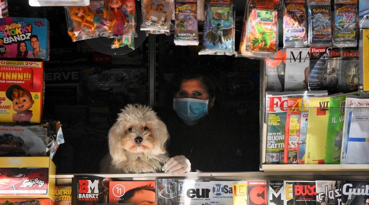 Aprende a jugar con tu mascota. Foto: EFE