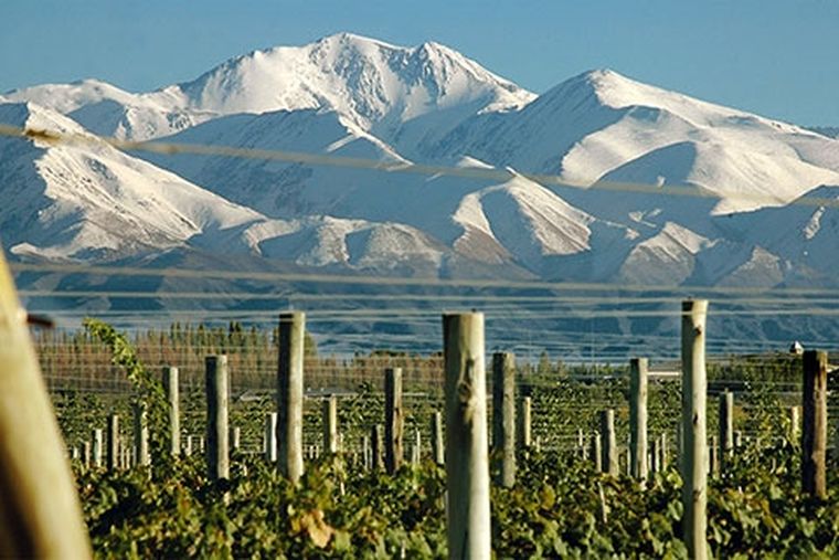 Viñedos al pie de la Cordillera y el imponente Aconcagua convierten a Mendoza en un destino de vino, aventura y paisajes únicos. Viñedos al pie de la Cordillera y el imponente Aconcagua convierten a Mendoza en un destino de vino, aventura y paisajes únicos.