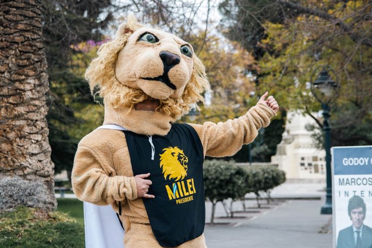 Foto: Santiago Tagua/MDZ