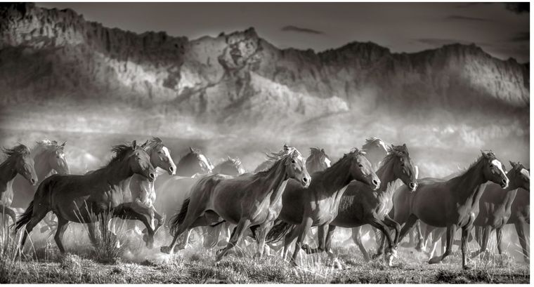 Eliseo Miciu, Eliseo Miciu,