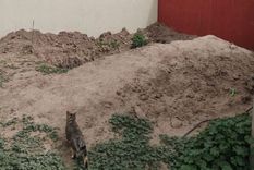 El patio sin la pileta, en la casa de un denunciante. El patio sin la pileta, en la casa de un denunciante.