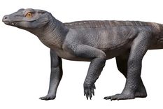 Descubren una nueva especie de reptil en la Patagonia argentina que es una especie de cocodrilo con rasgos parecidos a los zorros actuales. Foto: Reconstrucción: Gabriel Díaz Yantén