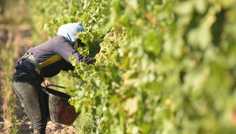 El comunicado fue firmado por 30 entidades Foto: Walter Moreno/Mdz