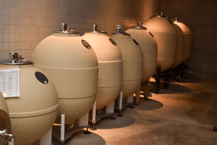 La bodega cuenta con distintos tipos de vasijas donde evolucionan sus vinos. La bodega cuenta con distintos tipos de vasijas donde evolucionan sus vinos.
