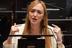 Anabel Fernández Sagasti Foto: Télam