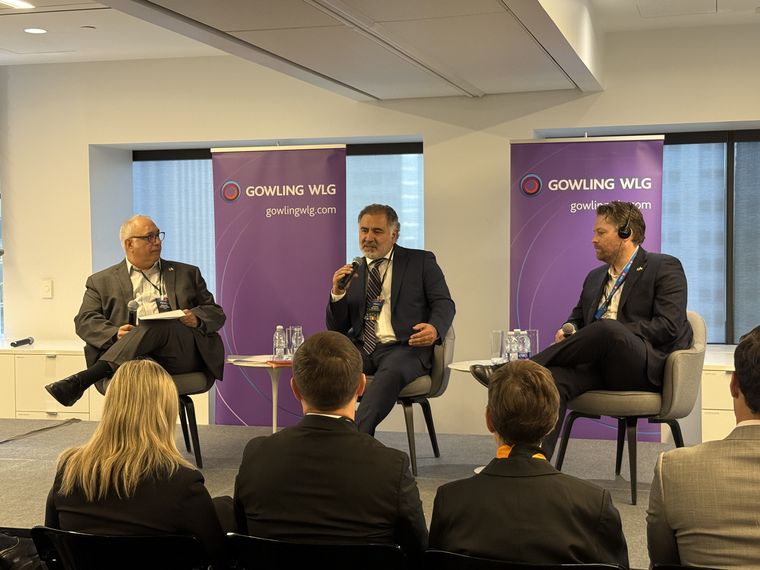 PSJ Cobre Mendocino confirmó su adhesión al RIGI por US$ 630 millones.&nbsp;