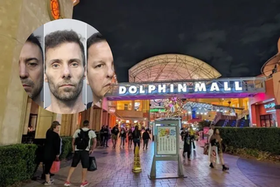 MDZol | miami-argentinos-detenidos