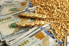 La agroexportación del agro ingresó dólares al fisco.