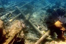 Foto: eluniversal.com.mx