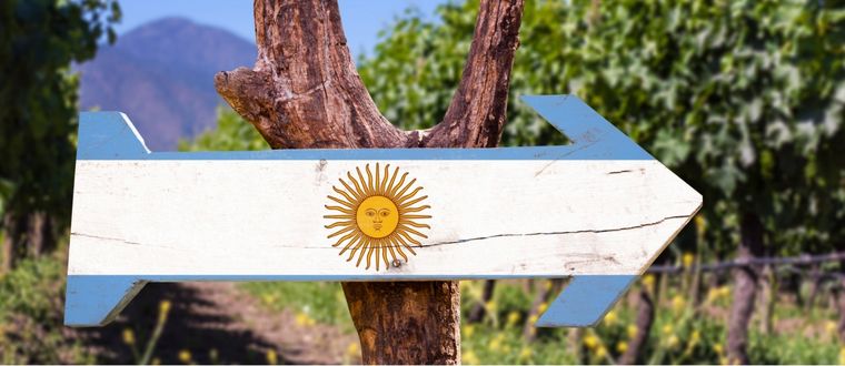 Informe sobre el Malbec. Foto: Gentileza