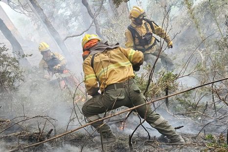 Patricia Bullrich habló sobre los focos activos de incendio. Foto: Gobierno de Río Negro