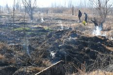 Foto: ALF PONCE MERCADO /MDZ