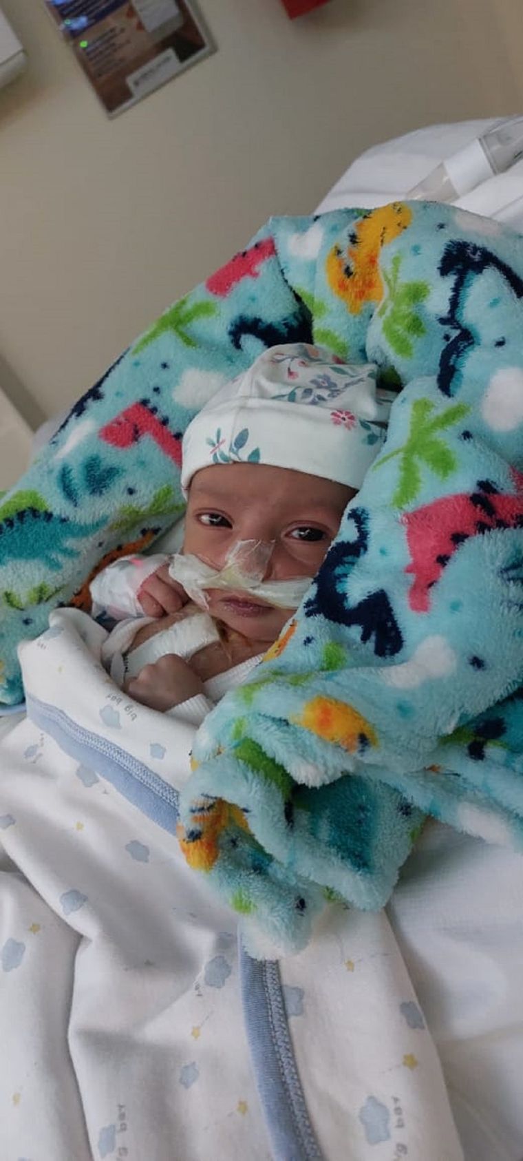 Lúa necesita ser operada del corazón por segunda vez. Foto: Gentileza