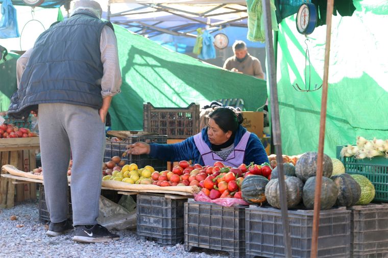 Los precios de frutas y verduras cayeron, pero el motivo no es el mejor Foto: Maximiliano Ríos/MDZ