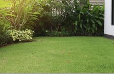 Haz que tu jardín luzca siempre bien cuidado Foto: Shutterstock Haz que tu jardín luzca siempre bien cuidado Foto: Shutterstock