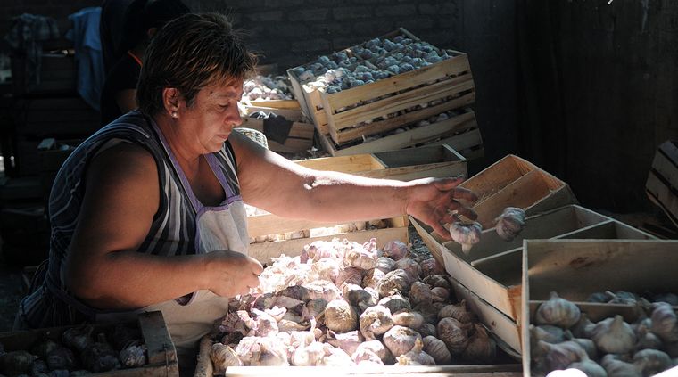 Foto: Nacho Gaffuri / MDZ