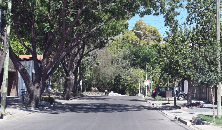 Las calles de Mendoza vacías. Las calles de Mendoza vacías.
