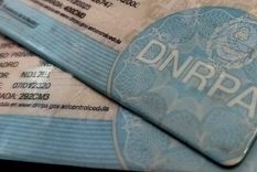 Este documento ya no podrá ser solicitado a ningún conductor en controles de tránsito. Foto: Walter Moreno/Mdz con Moto G 24 Este documento ya no podrá ser solicitado a ningún conductor en controles de tránsito. Foto: Walter Moreno/Mdz con Moto G 24