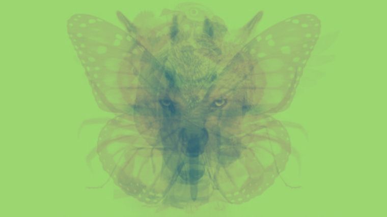 Test de personalidad