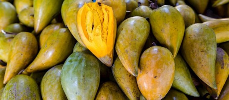 La lúcuma es conocida como el oro de los incas. Foto: Shutterstock