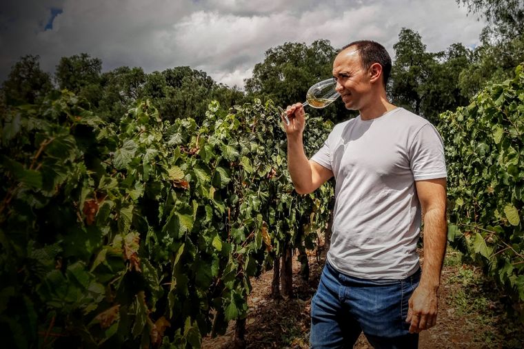Germán Buk, flamante enólogo de Finca Las Moras. Foto: Gentileza