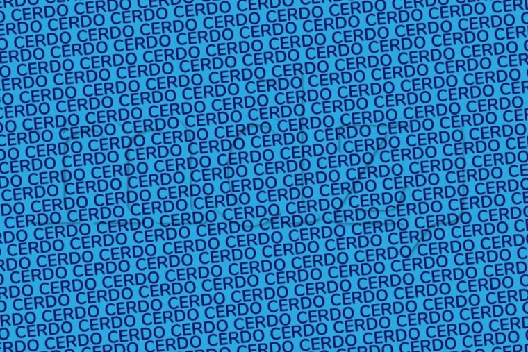 Acertijo visual Acertijo visual, reto visual, palabra Foto: MDZ Online