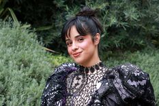 Camila Cabello compartió una arriesgada foto que desató la locura de sus admiradores.