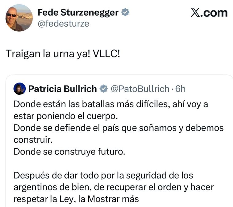 El festejo de Federico Sturzenegger por la candidatura de Bullrich. El festejo de Federico Sturzenegger por la candidatura de Bullrich.