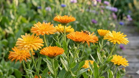 Colores vibrantes e intensos. Fuente: IA Gemini. Colores vibrantes e intensos. Fuente: IA Gemini.