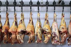 Foto: Pachy Reynoso/MDZ