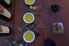 Cómo es la ruta del Olivo en Córdoba Foto: Prensa