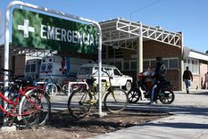 La víctima está internada en el Perrupato Foto: Archivo MDZ (Imagen Ilustrativa)