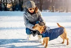 Entender cómo los perros y gatos enfrentan las bajas temperaturas. Entender cómo los perros y gatos enfrentan las bajas temperaturas.