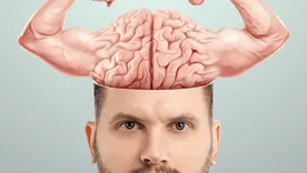 El cerebro es el órgano que coordina cada una de las funciones de nuestro cuerpo: el movimiento, la memoria, el lenguaje, las emociones y el pensamiento. El cerebro es el órgano que coordina cada una de las funciones de nuestro cuerpo: el movimiento, la memoria, el lenguaje, las emociones y el pensamiento.