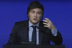 Javier Milei dará un discurso este próximo sábado en cadena nacional. Foto: Noticias Argentinas