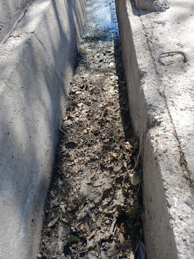 La suciedad provoca malos olores y la proliferación de mosquitos