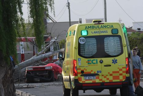 Una mujer murió aplastada por un árbol que cayó sobre su auto en Maipú. Una mujer murió aplastada por un árbol que cayó sobre su auto en Maipú.